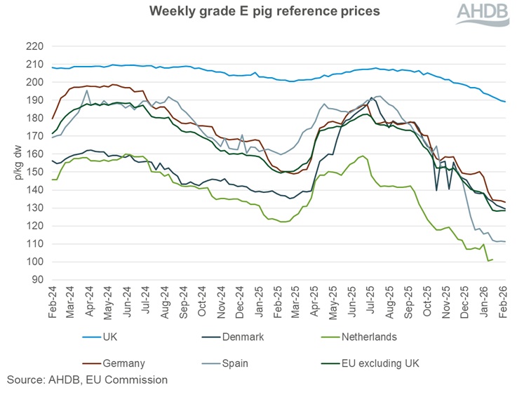 Line graph showing EU grade E pig prices from 4 February 2024 to 8 February 2026.